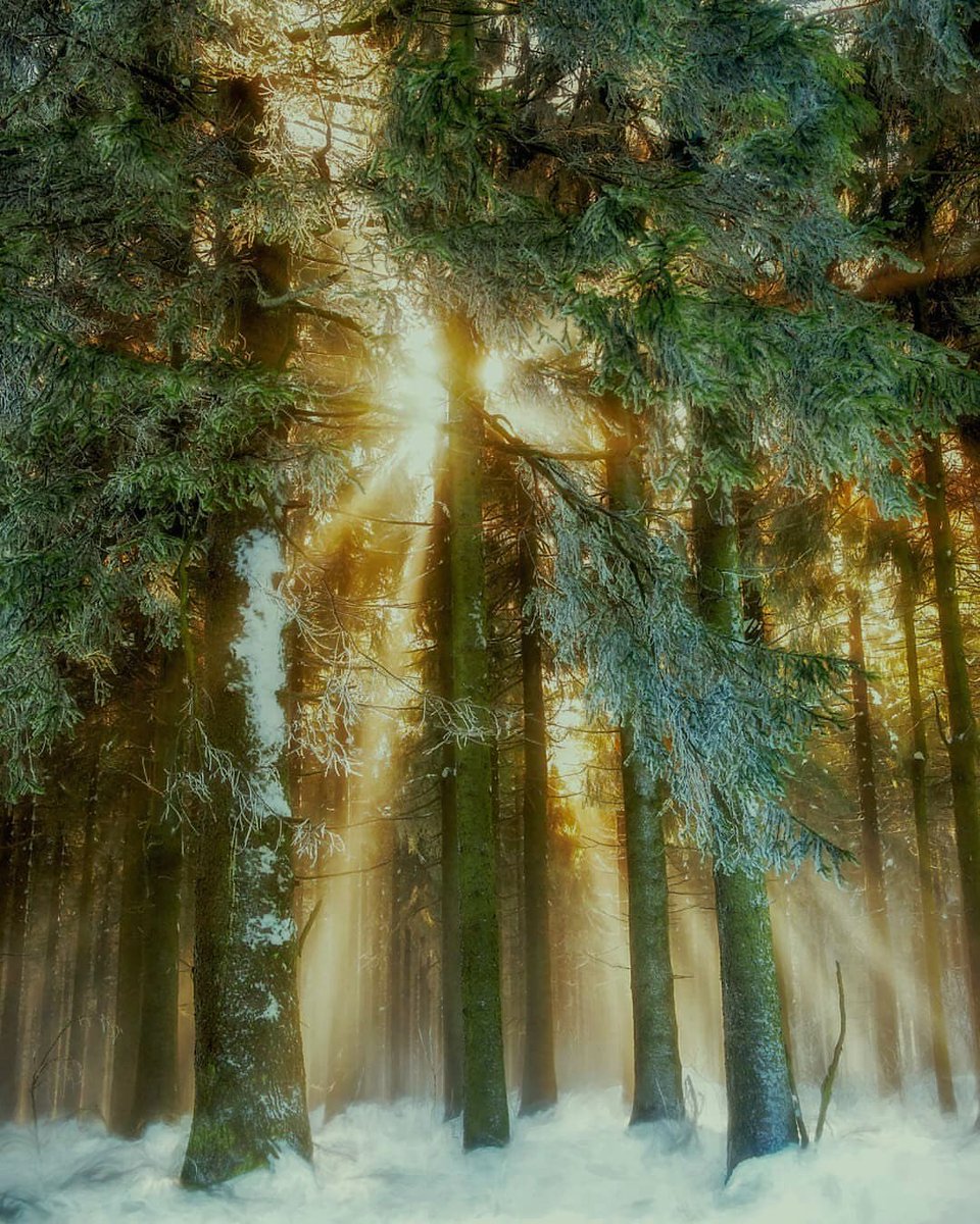 Find enduring resilience in calm, unwavering persistence during periods of gradual change.