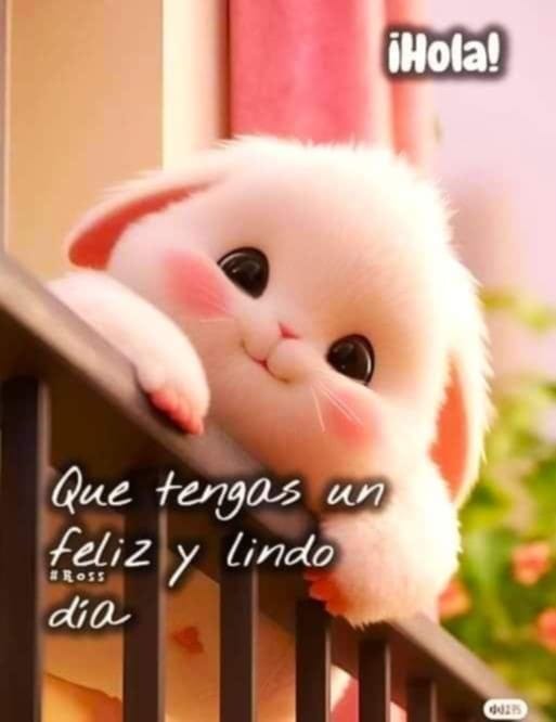 Buenos días!!
