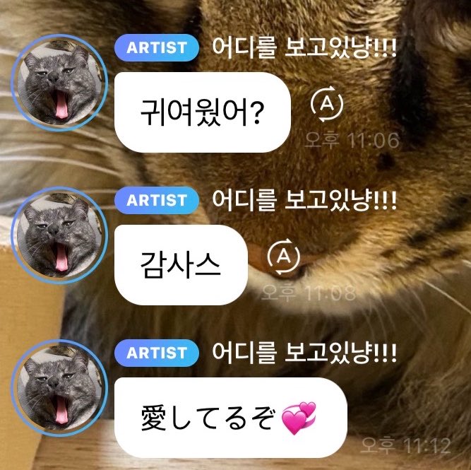 케유냥// tweet media