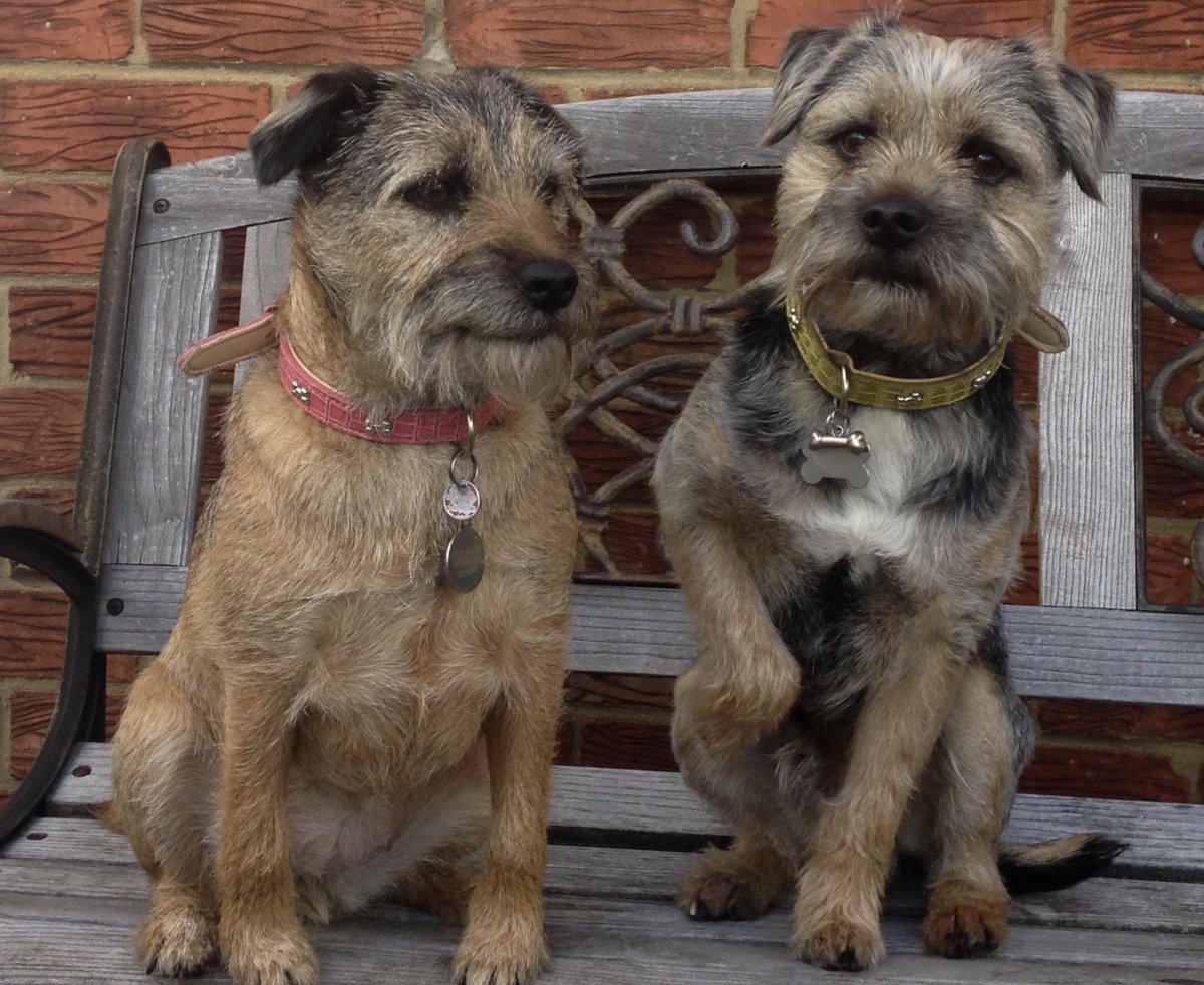 Mam 2 Lord Oscar Blue🌈 & Lady Ruby Red🌈,BT Squad tweet media