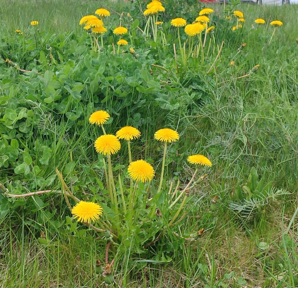 🎗️heeart's melody 2 tweet media