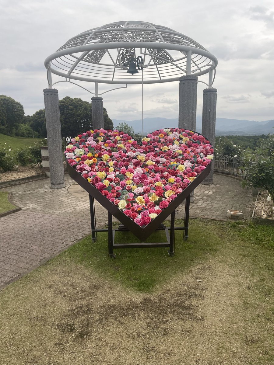 魔が差すよ( ꒪Д꒪)ヤバ… tweet media