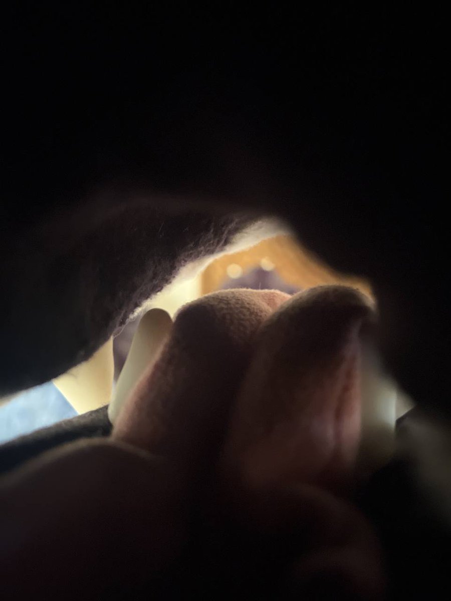 dirdwolf @ fwa tweet media