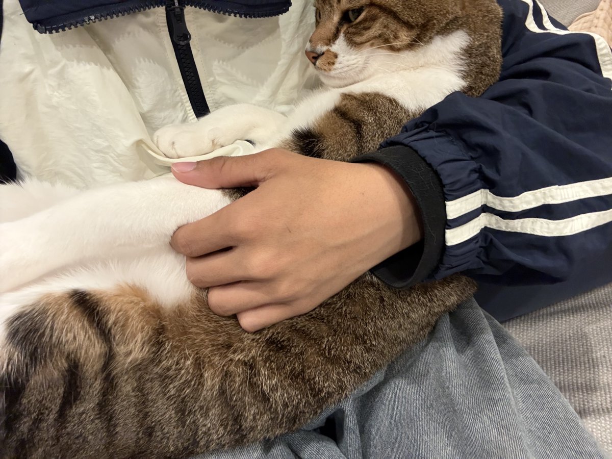おむ 𝕏 (@himajin_omu07) on Twitter photo 
