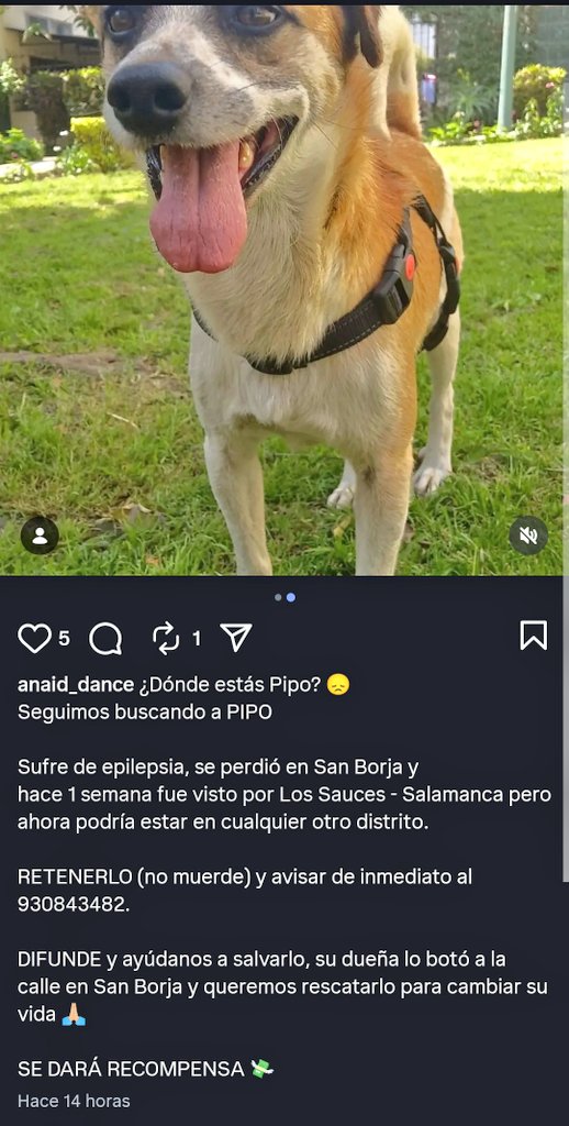 Taita Waikiki 🗨️ tweet media