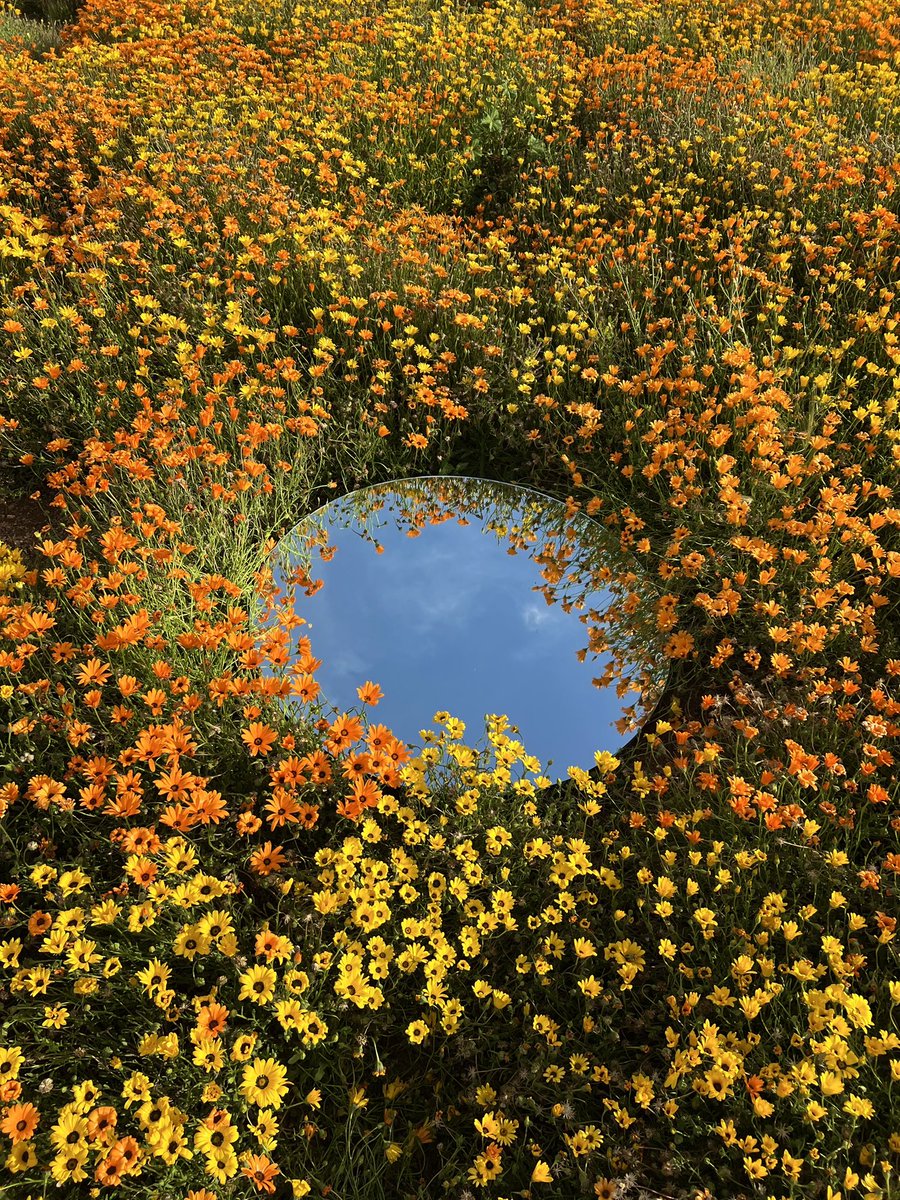 عبدالله tweet media