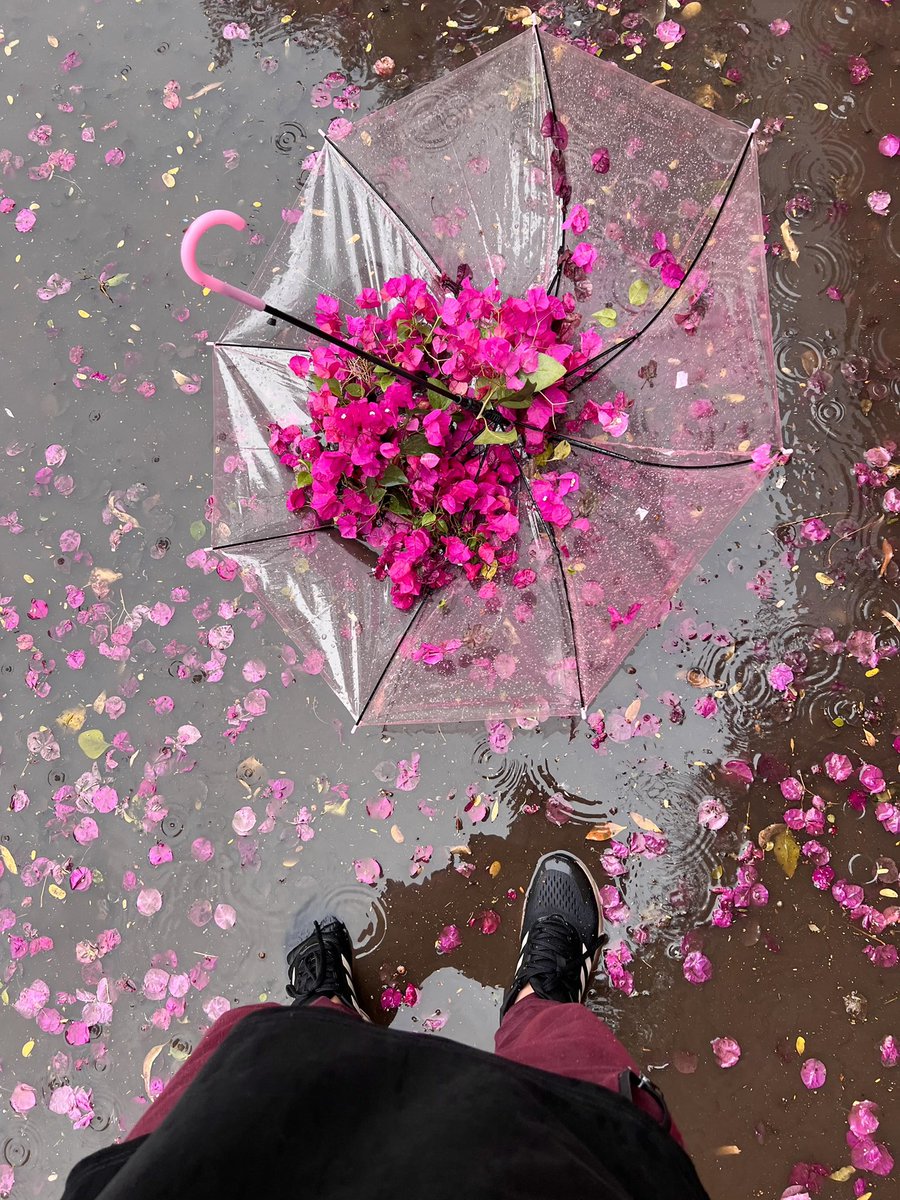 عبدالله tweet media