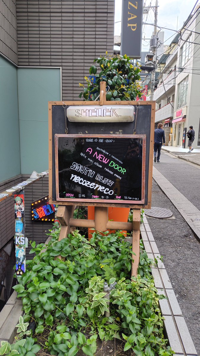 25日(土)はシェルターにnecozenecoのライブを見に行ってきました！
お昼のライブもいいですね☆
スプリットアルバムリリースおめでとうございます！ツアーがんばってください！
#necozeneco
#SOUTHBLOW
#下北沢シェルター