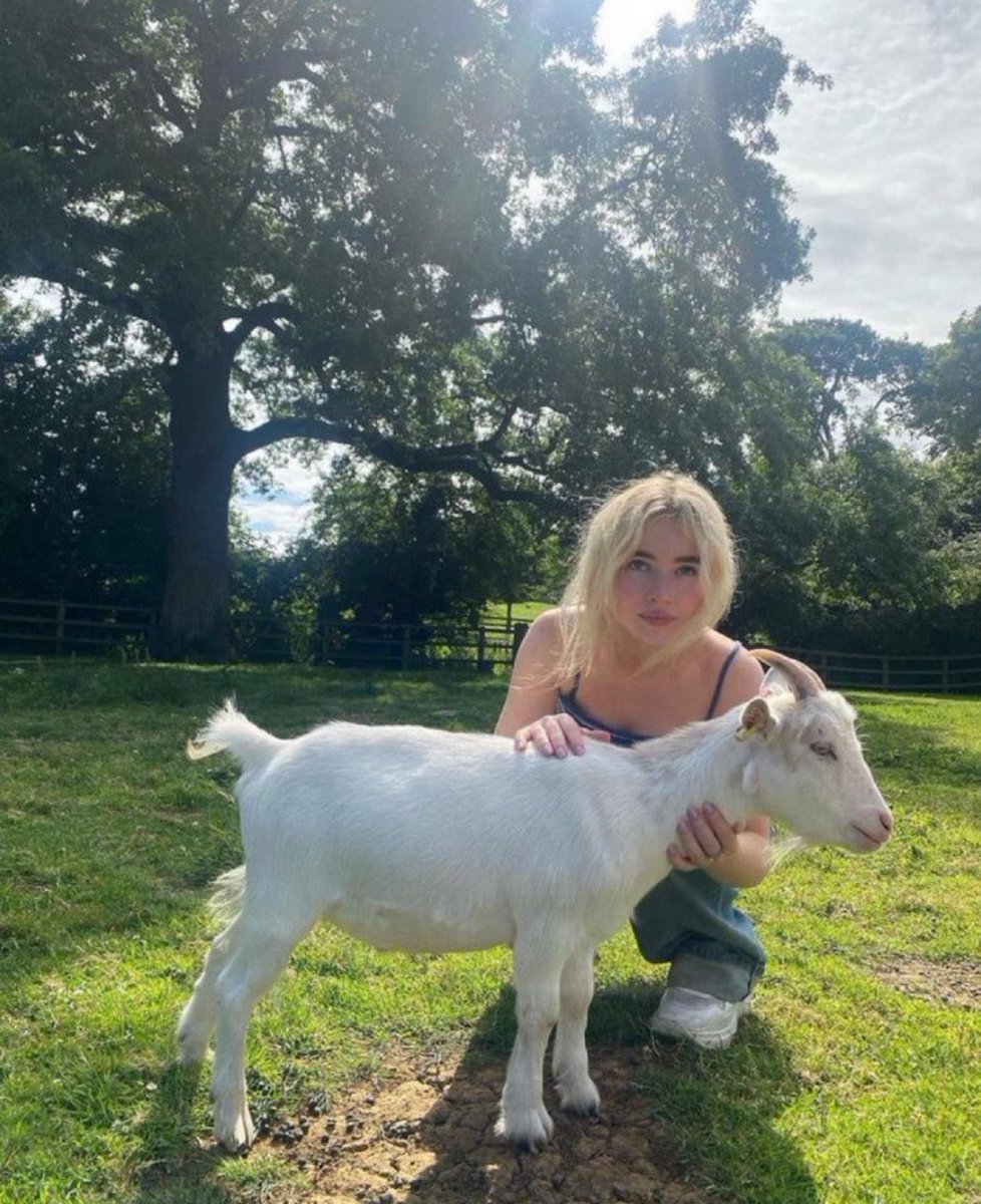 lesley 🐇๋࣭ ⭑ tweet media