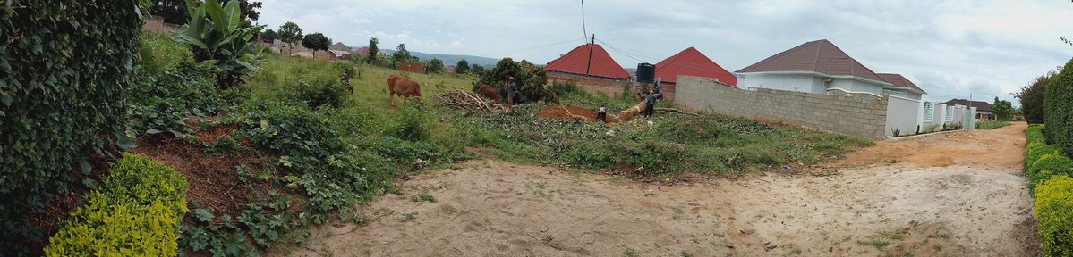 BlockStructkv's tweet image. #DAY2 
50% progress of site cleaning only.
#Tugumane