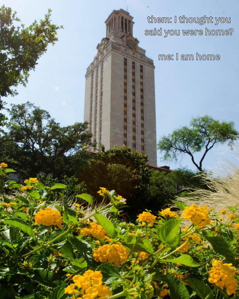 Texas Exes tweet media