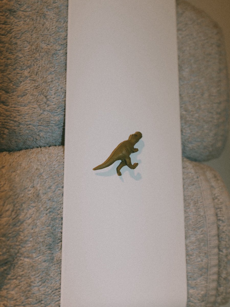 伝説のシティドラゴン tweet media