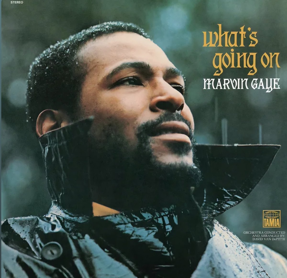 Damonnn77's tweet photo. What's going on - Marvin Gaye

Perfect from front to back. Gabi and I have probably listened to this thing 20 times since buying the vinyl. Definitely deserving of its status.

10/10 https://t.co/Wum8tnF5VR
