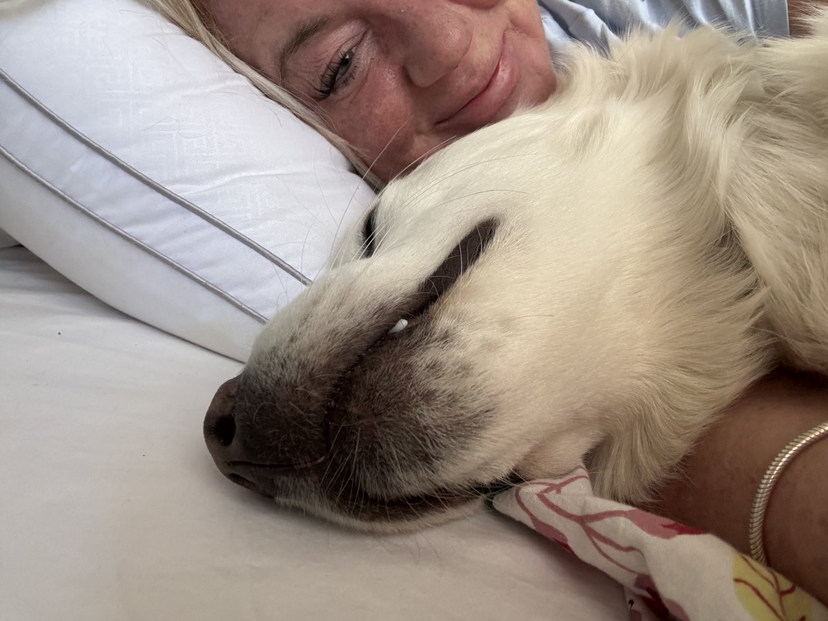 Blonde Bigot tweet media