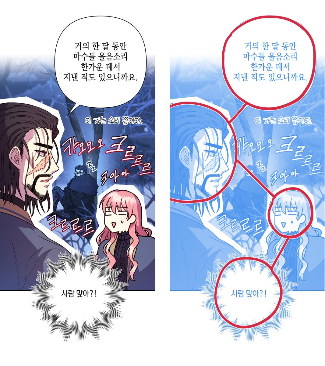 월헤트/WOLHET tweet media