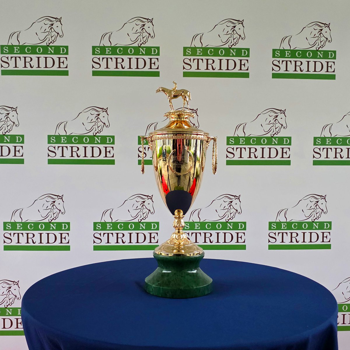 SecondStride's tweet photo. Just a reminder from #ChampionsNight of the horses that make all of this possible.  Please support Second Stride https://t.co/z1h8sILrHQ.  TY🙏 to all who helped make it our best ever: @DonnaBBrothers @EJXD2 @reredevaux @markecasse and so many others. Photo gallery to come! https://t.co/4qCV18Z1yf