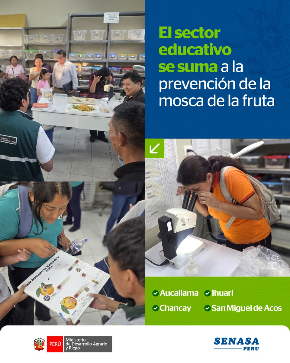 Senasa Perú tweet media
