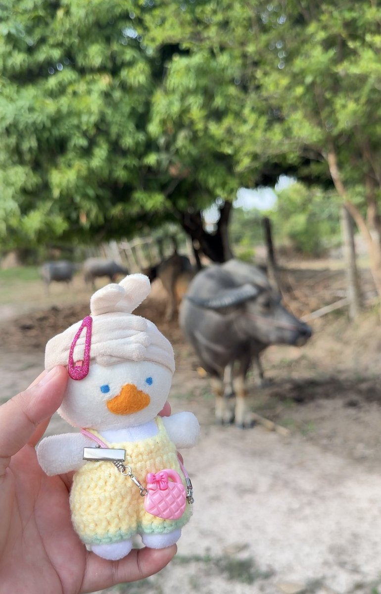 เอินลี ft ลาแล้วเมืองกรุง ไทบ้านเจอกัร ⏻ tweet media