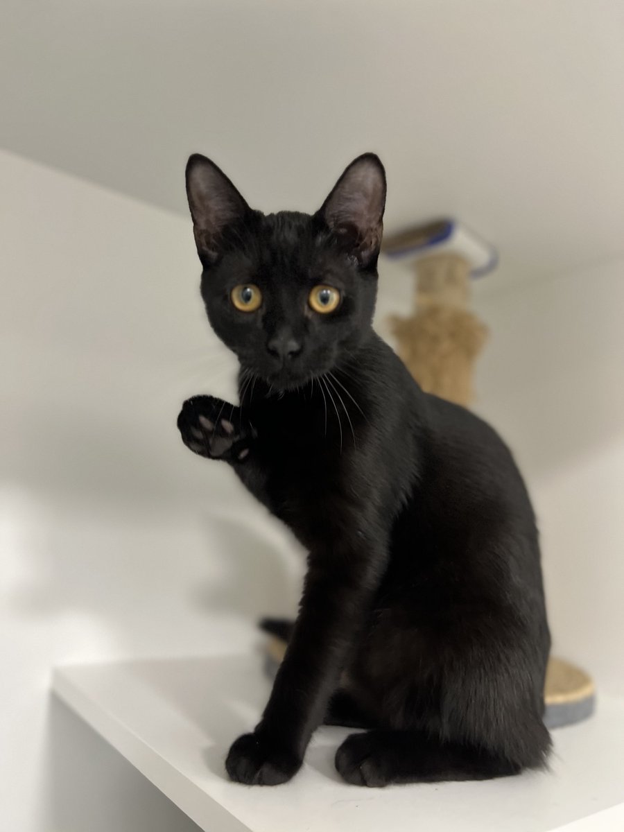 Петро Бінас tweet media