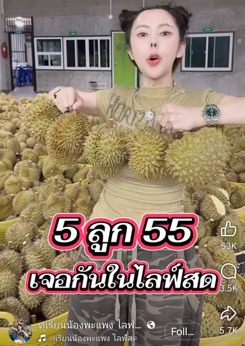 ฮ.นกฮูก(สีส้ม) tweet media