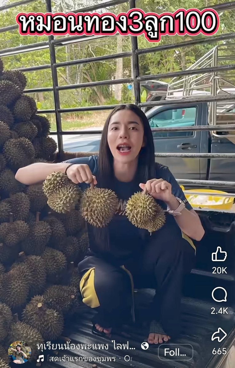 ฮ.นกฮูก(สีส้ม) tweet media
