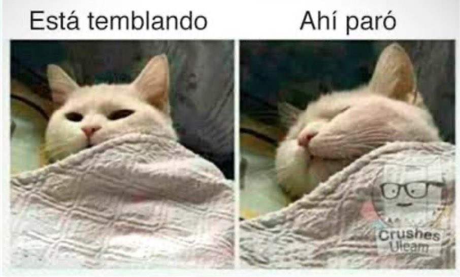 csantander23's tweet image. #sismo #temblor #Chile