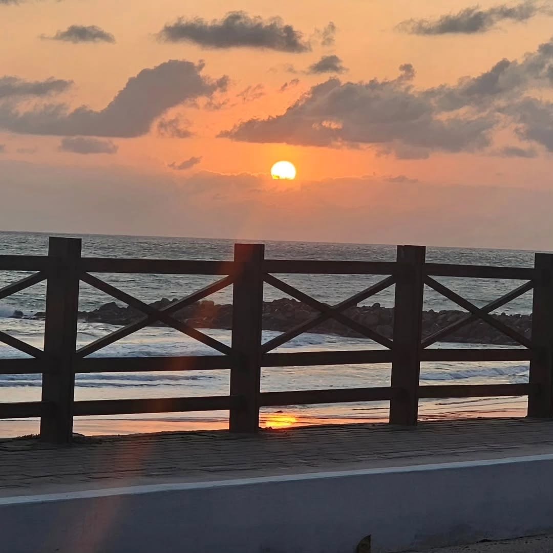 DiogoFerXD's tweet photo. Acordar Cedo, Correr na Praia com essa Vista 😊 https://t.co/4BuosJ9NYr