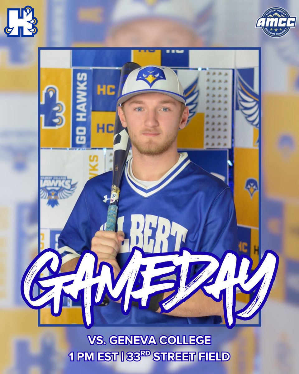 Hilbert College Baseball tweet media