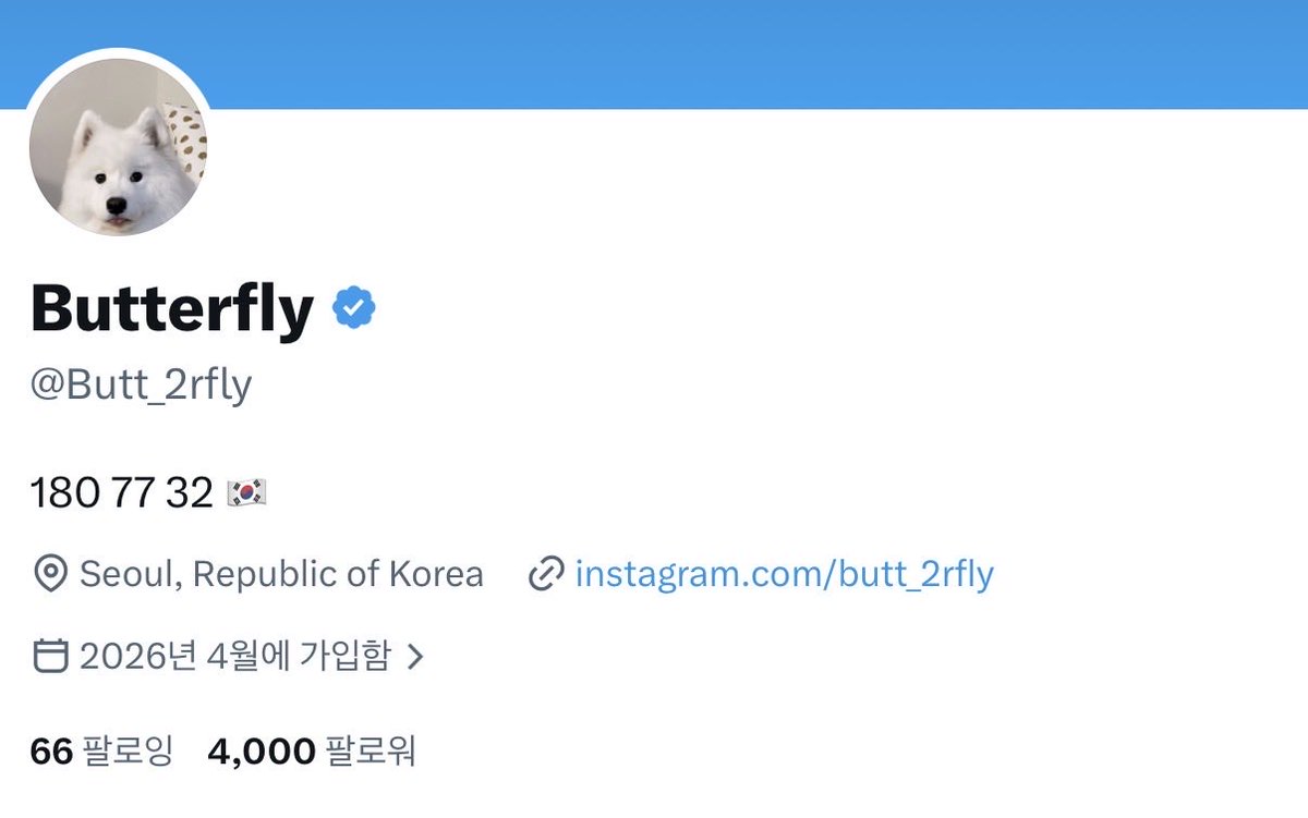 Butterfly tweet media
