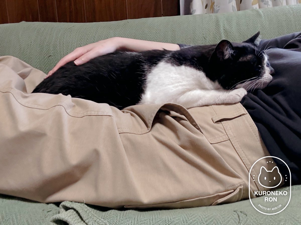 AKR🌱⑧巻6月発売 tweet media