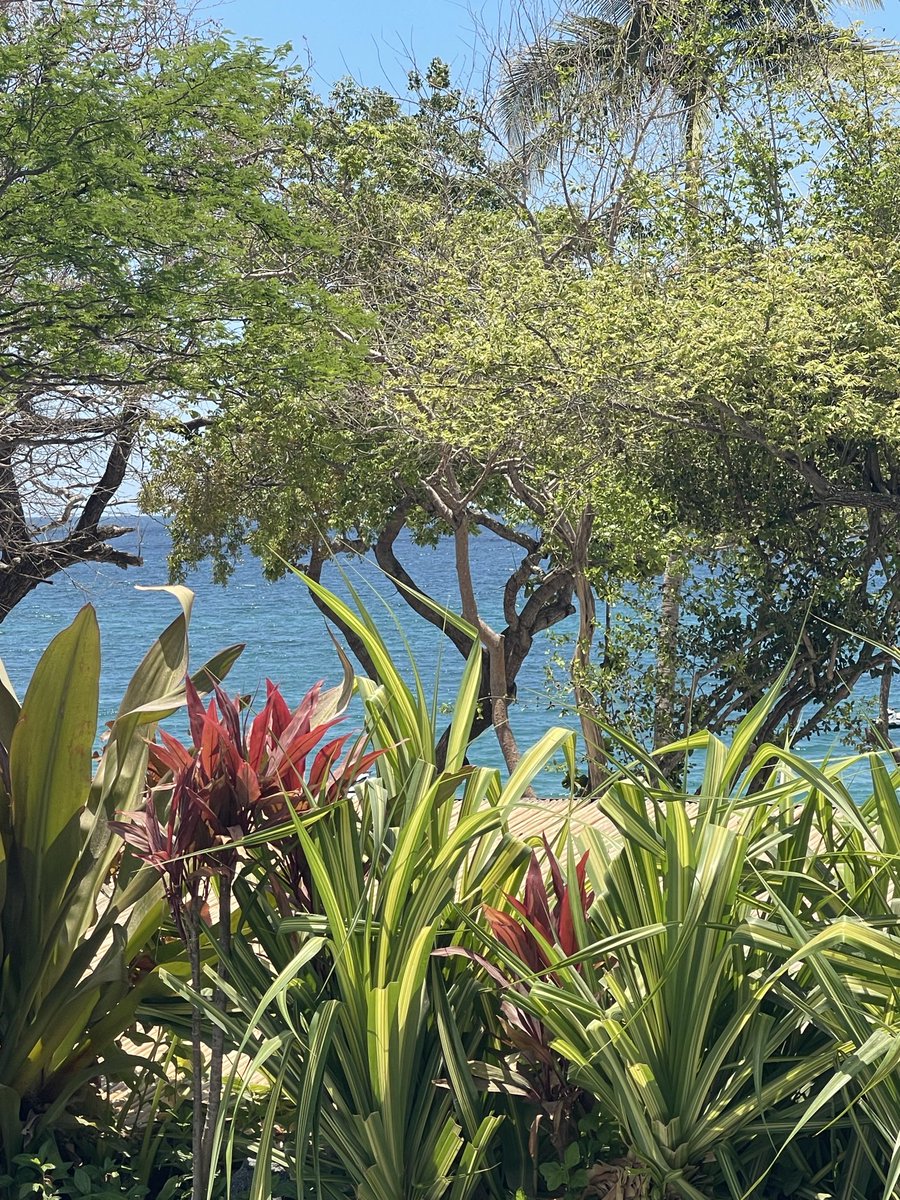 BrooklynMorganJ's tweet image. sometimes
in order to focus

it is best
for me

to jus
walk away

i am
brooklynmorgan
#inspire #kindness #poetry