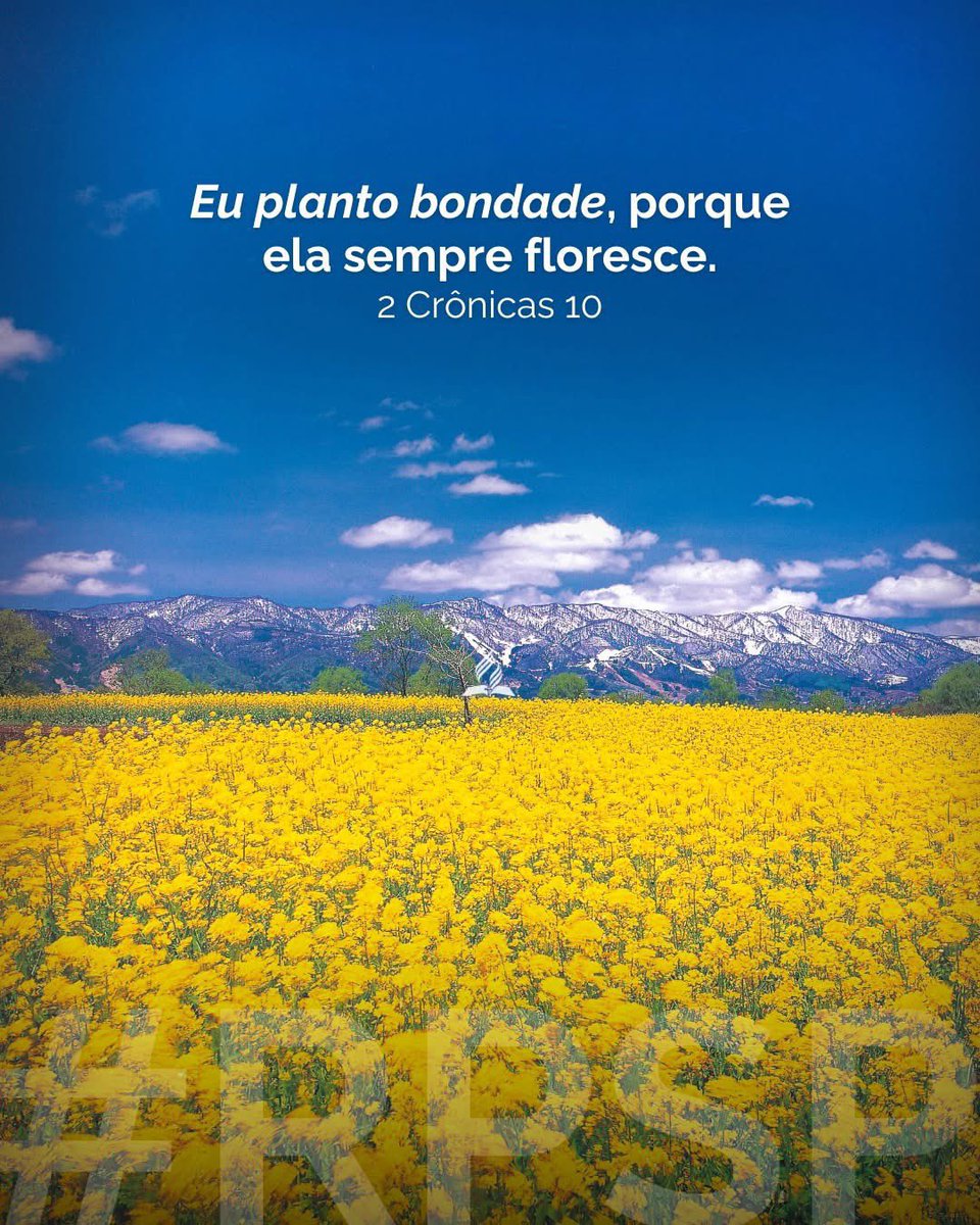PrErzonA's tweet photo. #2Crônicas10/ A busca pela sabedoria divina deve ser a nossa prioridade em todos os momentos, especialmente quando estamos diante de decisões cruciais. Devemos reconhecer que, sem a sabedoria de Deus, somos como Roboão, propensos a cometer erros graves e devastadoras. #1Deus https://t.co/8mWFuk1Hgn