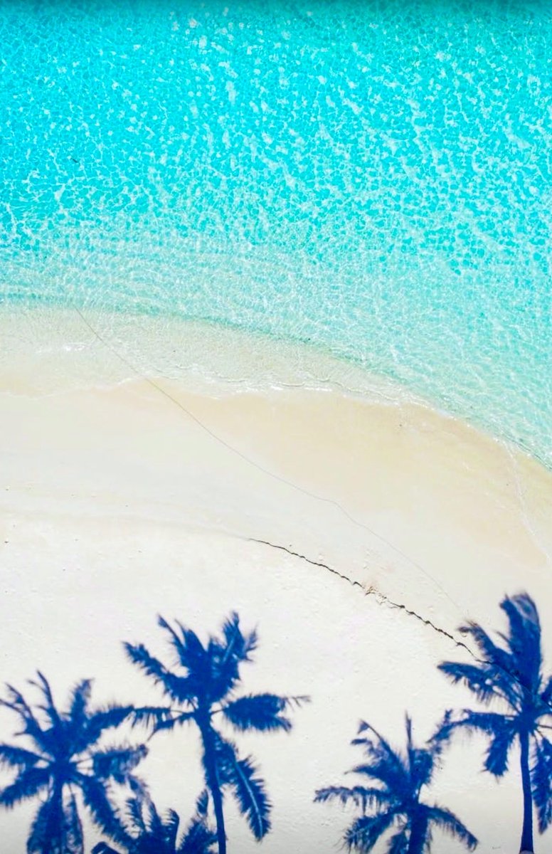 OsarumenOsamai's tweet image. We are Love's present glory, expression and display

.
.
.
#Jesus is #Joy
#Zeali #OOi.