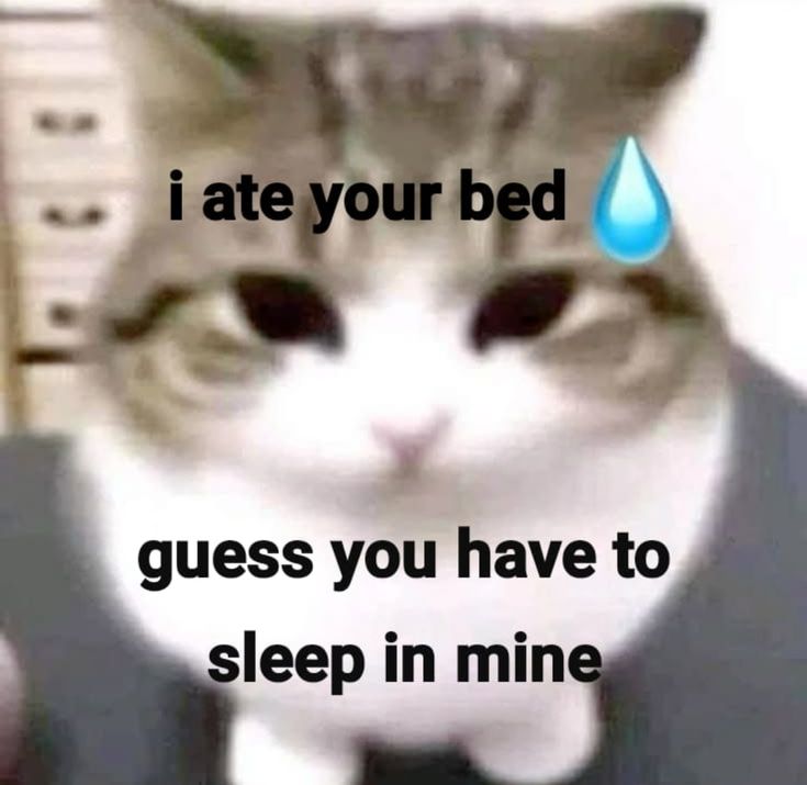 mei /•᷅‎‎•᷄\੭ tweet media