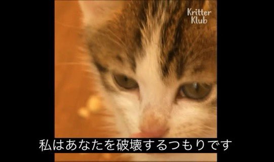 おたす🫵🤩 tweet media