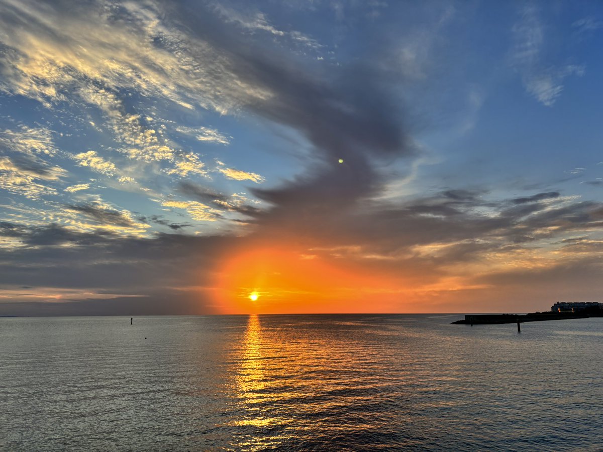 れんこん tweet media