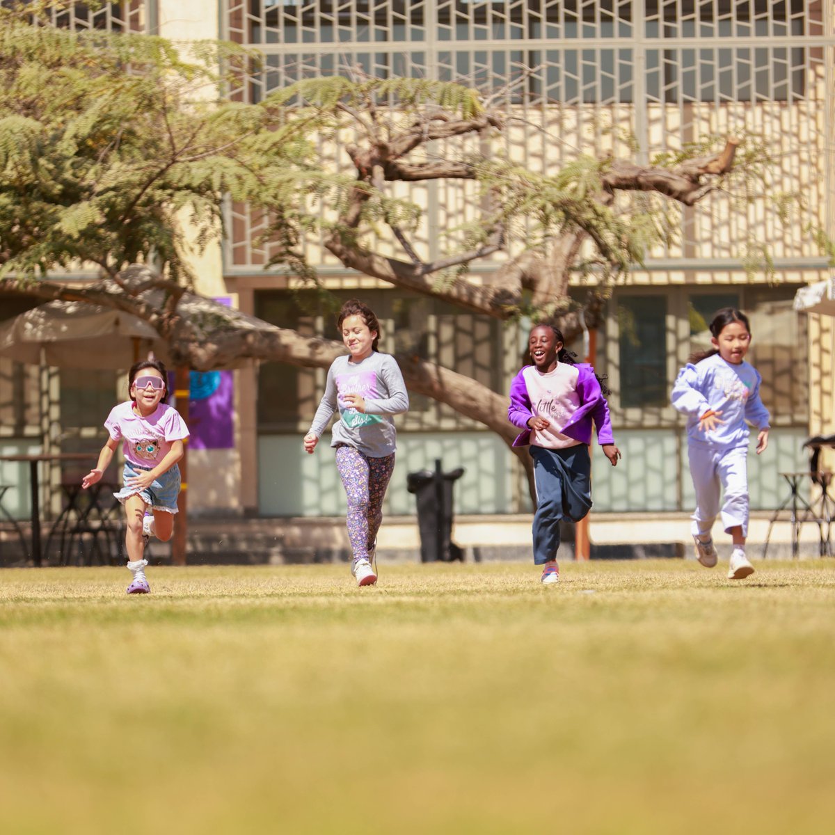 Cairo American College tweet media