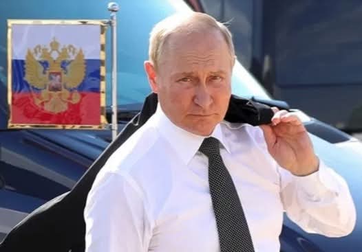 Sabrina F. tweet media