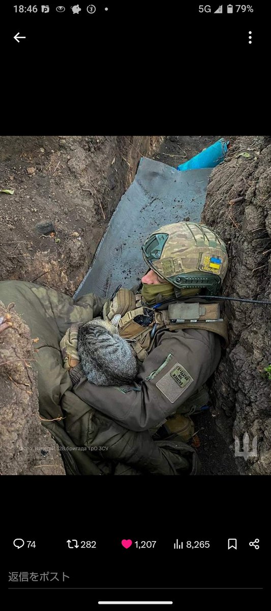 hideaki_ku36651's tweet image. ウクライナでは今なお明日生きられる保障のない過酷な日々が続いています。
​私たちが平和な日常を送る今この瞬間も、彼らは戦地で命を懸け、愛する家族、そして自分たちの国と名誉を守るために戦っています。
私の心はウクライナの人たちと共にあります🇺🇦🇯🇵
​#ウクライナ #StandWithUkraine #Ukraine