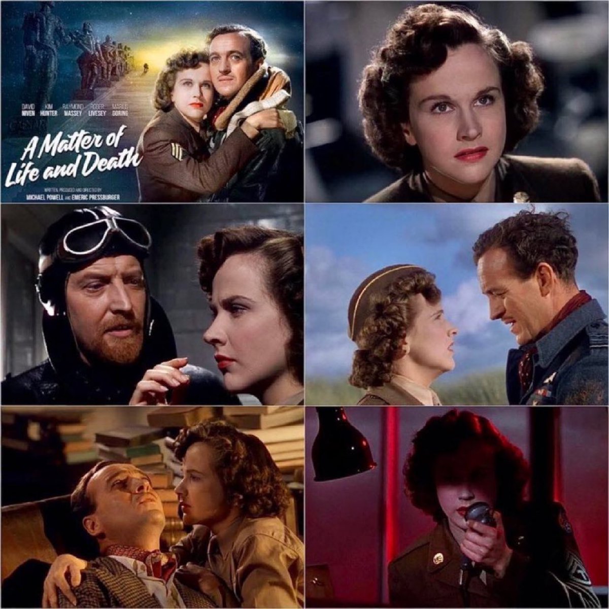 Michael Warburton tweet media