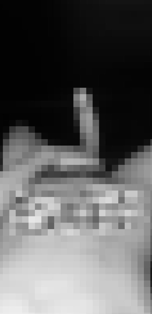 🥷🏿 tweet media