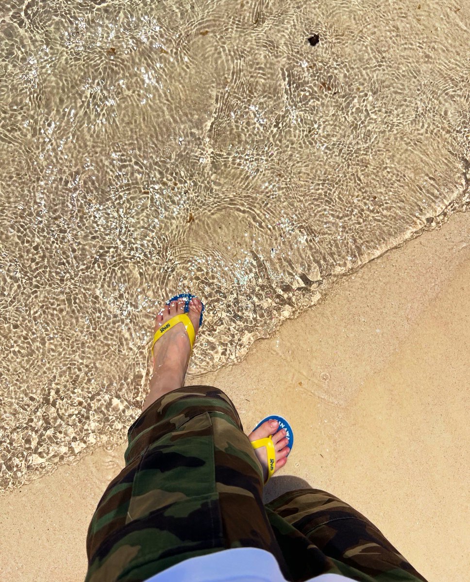 コモレビヨリ tweet media