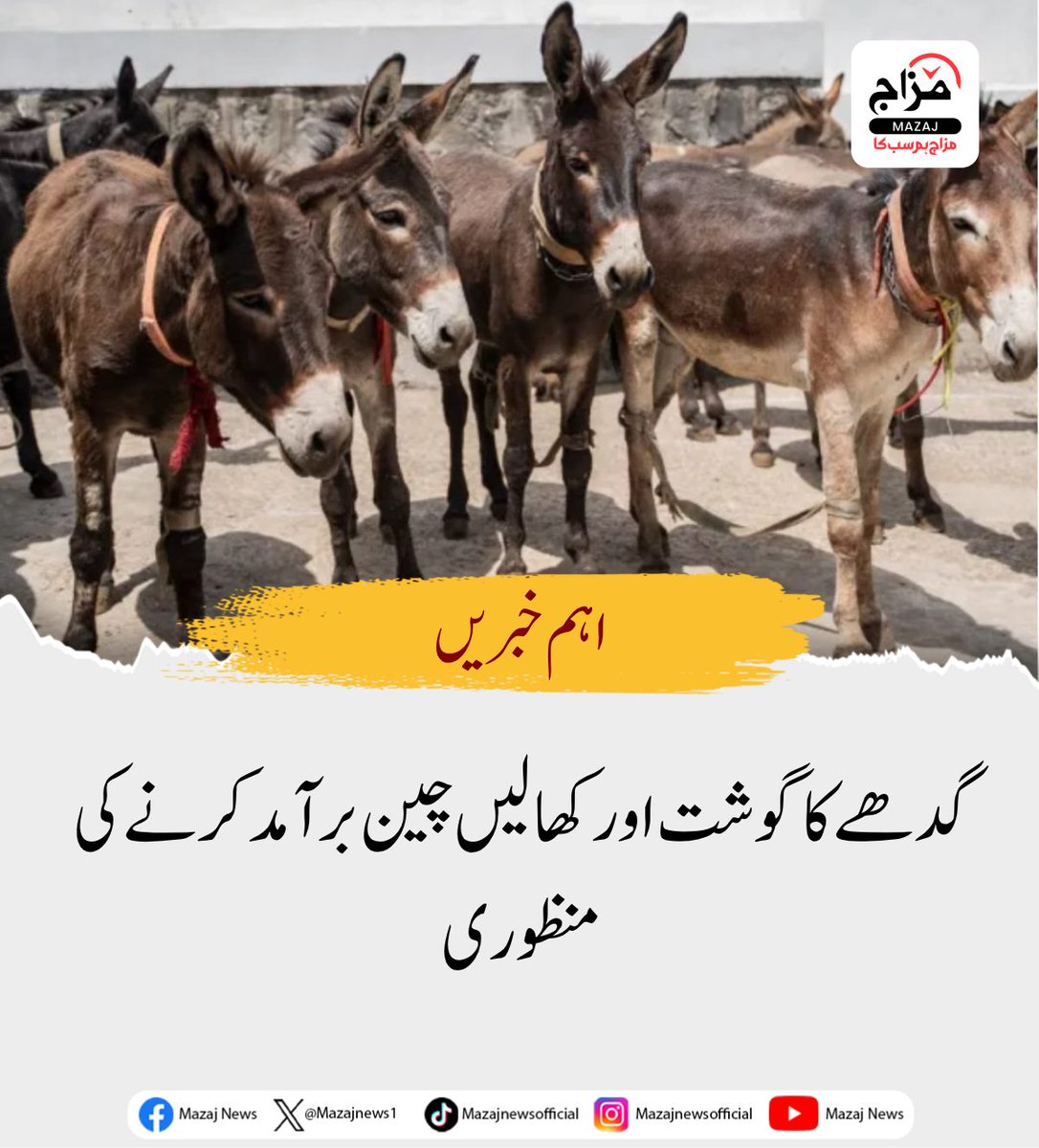 Mazajnews1's tweet image. وفاقی کابینہ کی اقتصادی رابطہ کمیٹی کی جانب سے گدھے کا گوشت اور کھالیں چین برآمد کرنے کی منظوری دے دی گئی۔

گزشتہ روز وفاقی وزیر خزانہ محمد اورنگزیب کی زیر صدارت کابینہ کی اقتصادی رابطہ کمیٹی (ای سی سی)کا اجلاس  منعقد ہوا۔

#Pakistan #ECC #Cabinet #Economy #Trade #Export #China