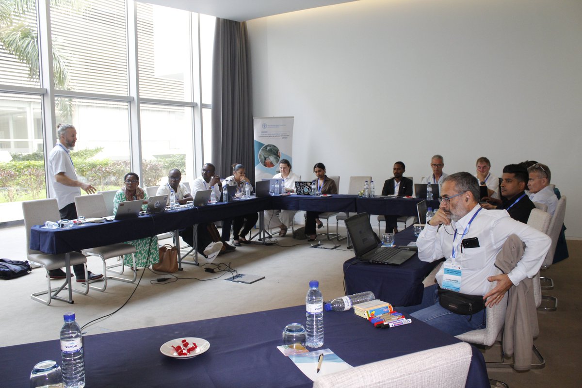 SWIOFC_News's tweet photo. The four-day meeting of the #SWIOFC Task Force on Research and Capacity started yesterday in Maputo, 🇲🇿🇲🇿, to discuss regional cooperation for development of capacity for fisheries research and management.
#FisheriesResearch #CapacityBuilding   #IndianOcean #FisheriesManagement. https://t.co/lm05Uw0EQz