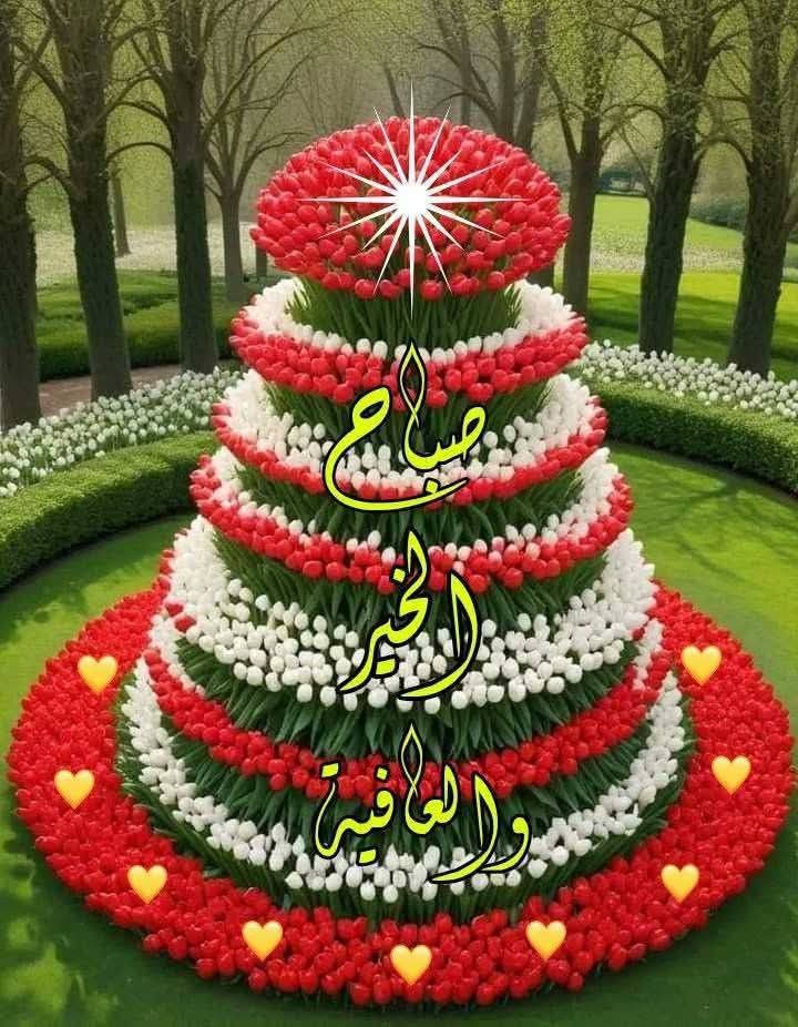عاطف زين العابدين tweet media
