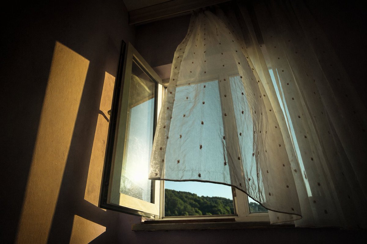 kaddish_s's tweet image. flowers underfoot
black earth rendered our perfume
the tear on your cheek
supermarket aisle lights buzz
I choose fruit without thinking
days forage for me
a fly settles on my palm
flinches at Spring rain
traffic lights cycle… skepticskaddish.com/2026/04/28/cal…

#poem #collab w/@leon_walder