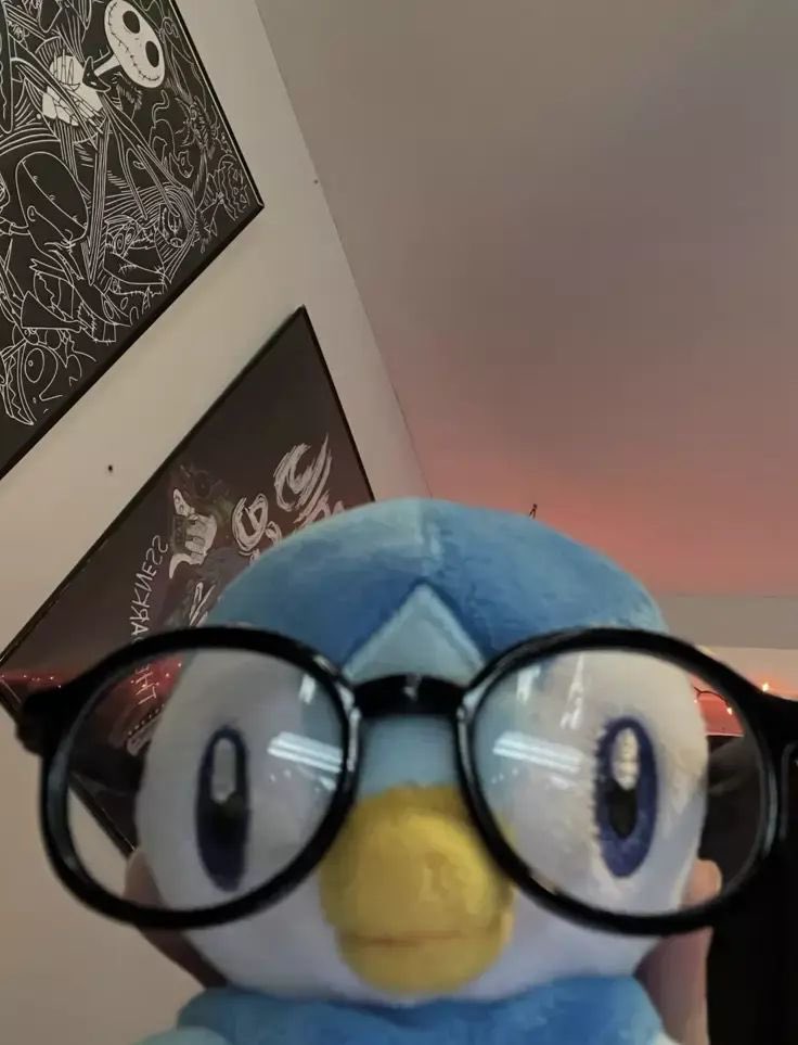 VentuS 🦆 tweet media