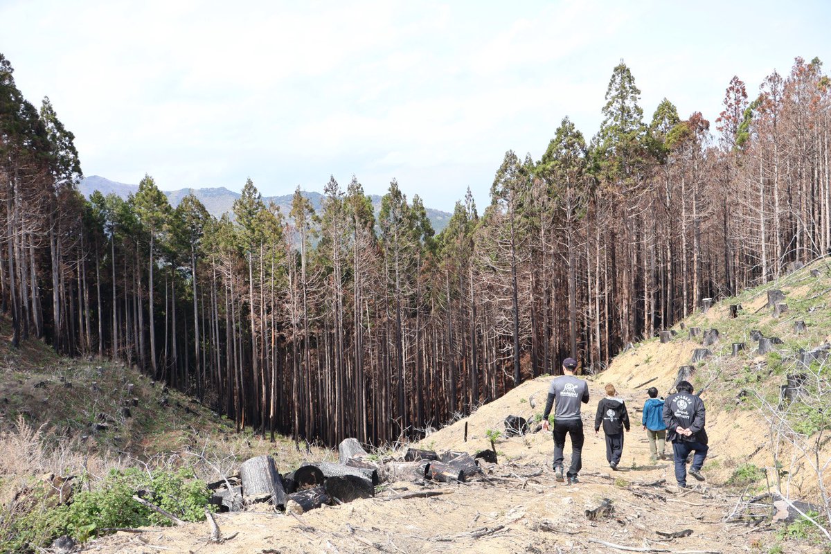 幡ヶ谷再生大学[復興再生部] tweet media