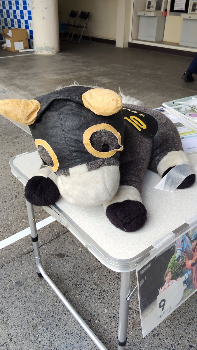 オグリキャップ　ジャンボぬいぐるみ　競馬 m17875025677_1.jpg?1765001489