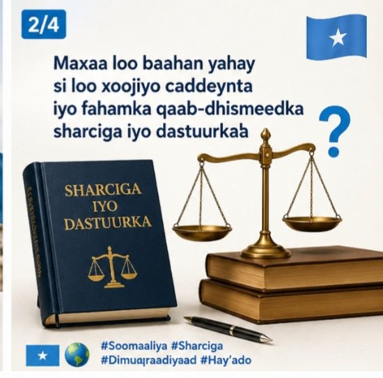 ASiraaji5313's tweet image. What steps are needed to strengthen clarity in the legal and constitutional framework? 🤔
#Somalia #Law #Democracy #Institutions
🇸🇴🌍